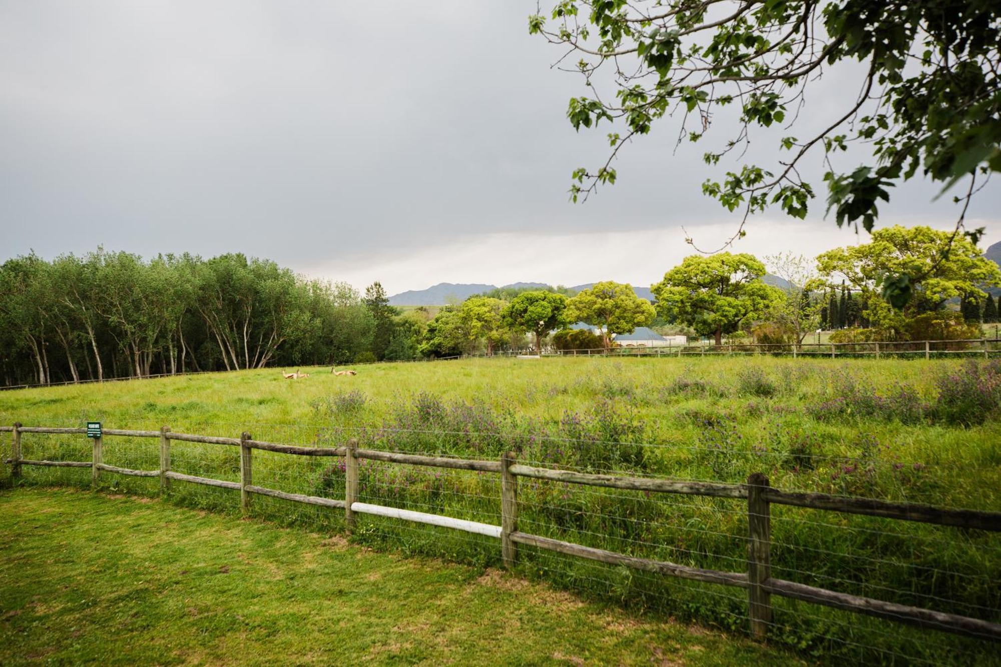 Marshden Estate Bed and Breakfast Στέλενμπος Εξωτερικό φωτογραφία