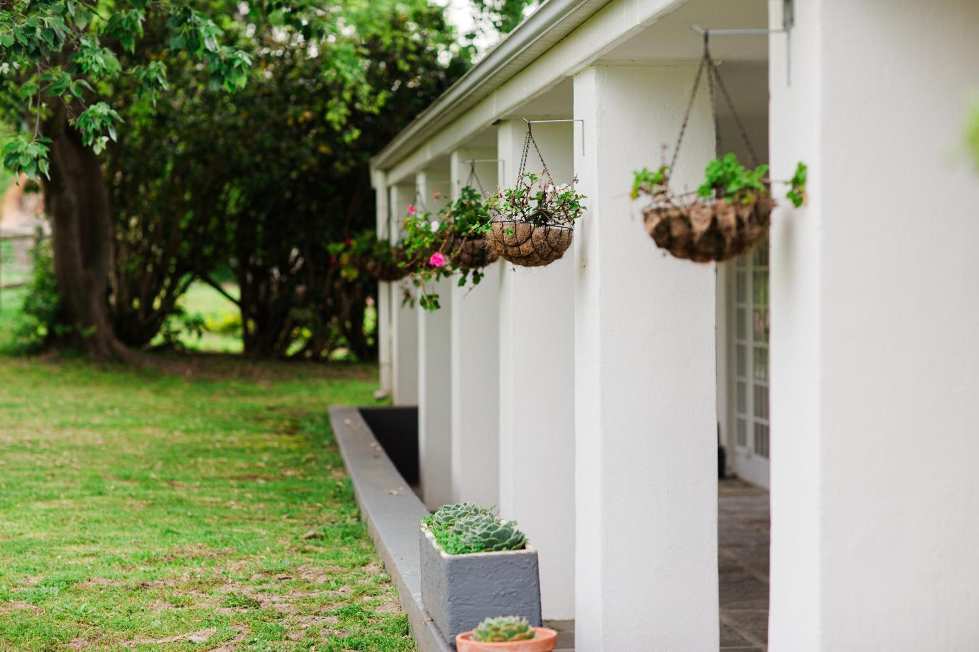 Marshden Estate Bed and Breakfast Στέλενμπος Εξωτερικό φωτογραφία